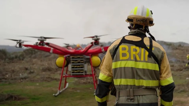 TREEADS-client-story-web-page-banner